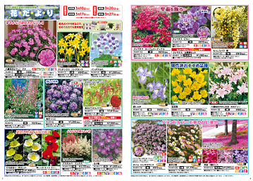 花特集１