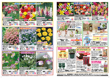 花特集２